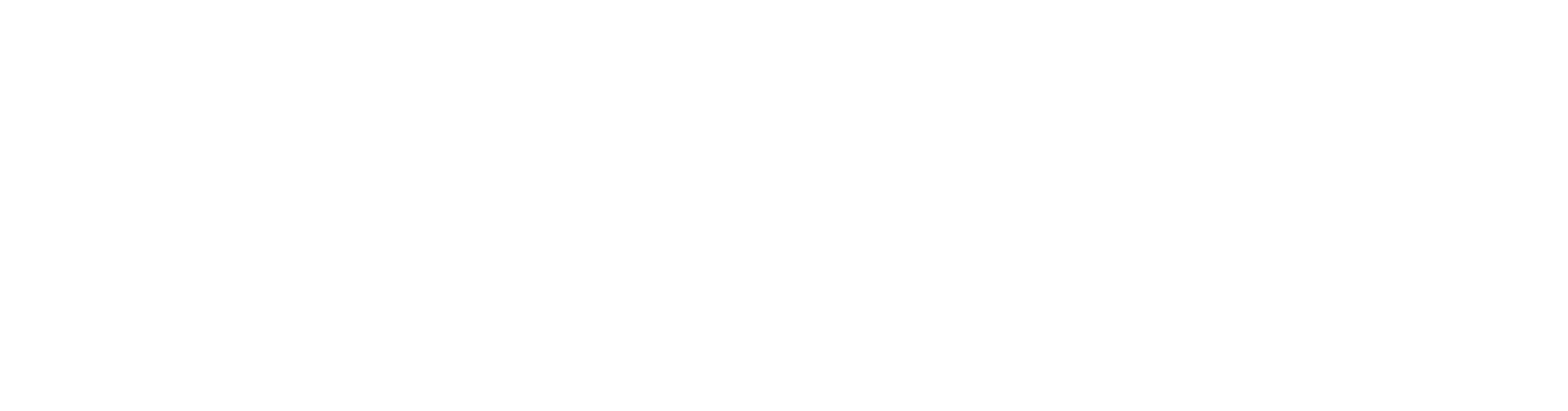 Simple Nature Store Logo
